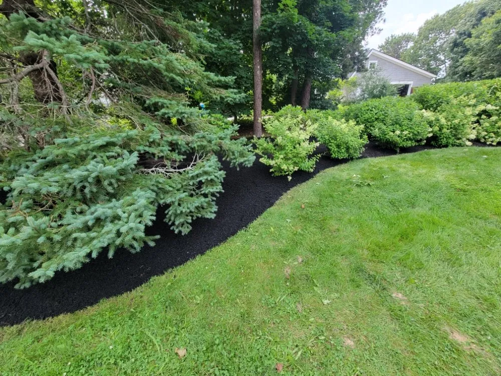 Custom yard maintenance in Sanford, ME - Josh Carbone Lawn and Yard Maintenance/ A-1 Sealcoating