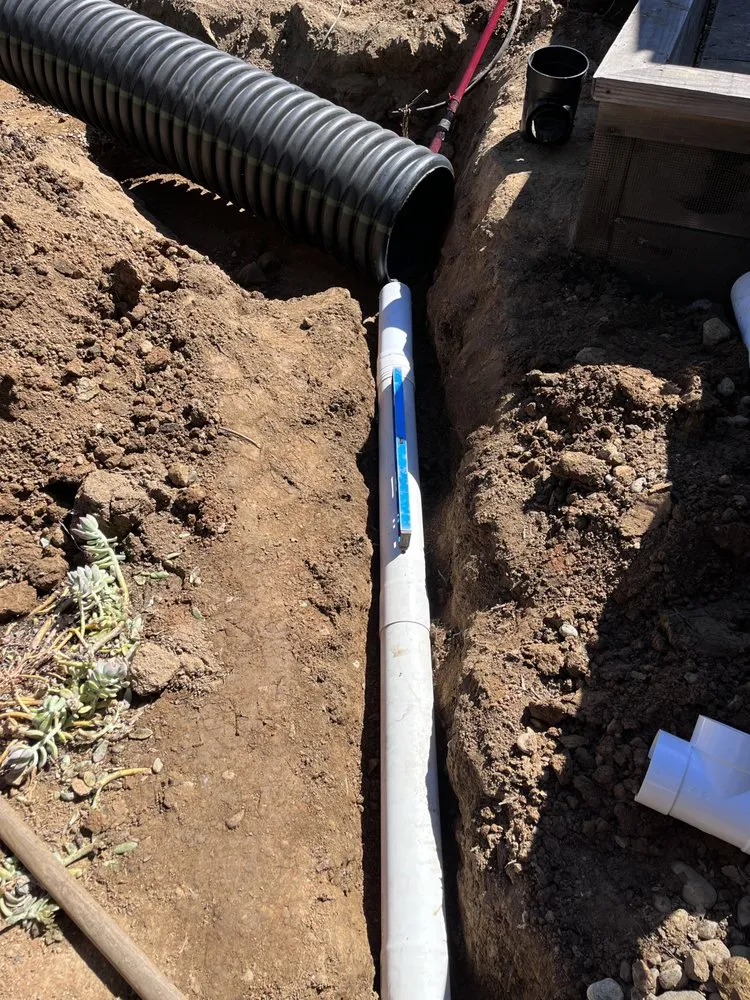 Affordable landscape design in El Dorado Hills, CA by Josh Gove Landscape