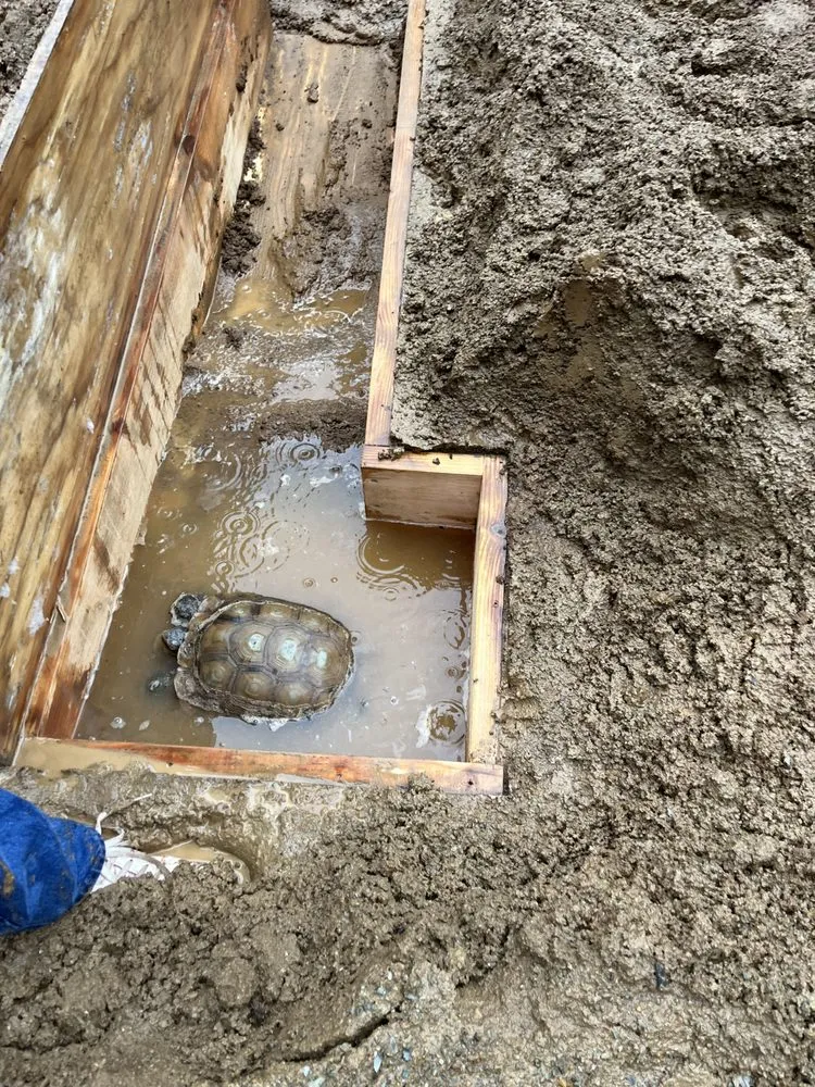 Expert garden landscaping experts serving El Dorado Hills, CA - Josh Gove Landscape