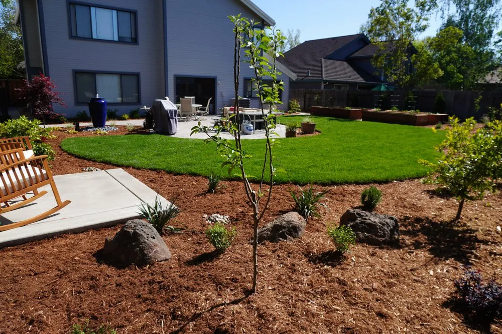 Top-rated yard maintenance in El Dorado Hills, CA - Josh Gove Landscape