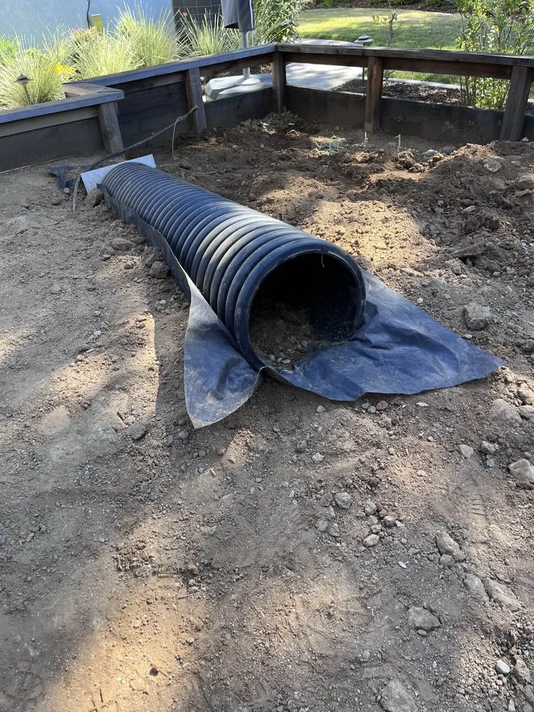 Expert yard maintenance in El Dorado Hills, CA by Josh Gove Landscape