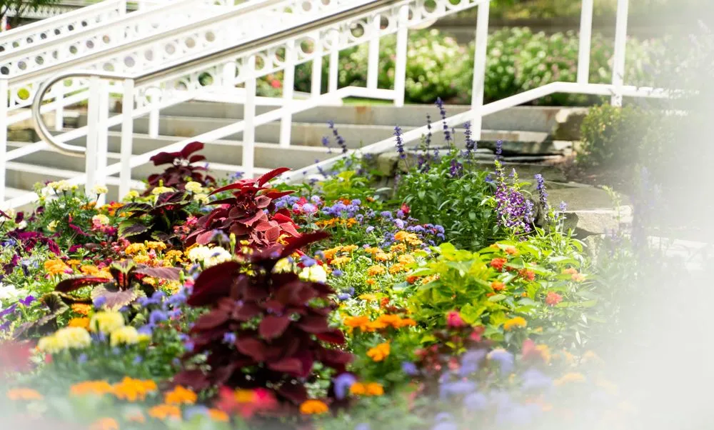 Affordable outdoor landscaping experts serving Honeoye Falls, NY - Josh Landscape