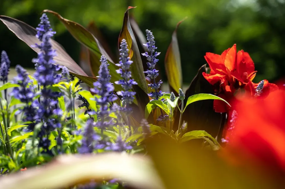 Professional lawn mowing service in Honeoye Falls, NY by Josh Landscape