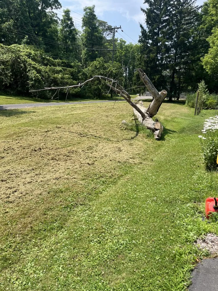 Affordable garden landscaping with custom design across Honeoye Falls, NY - Josh Landscape