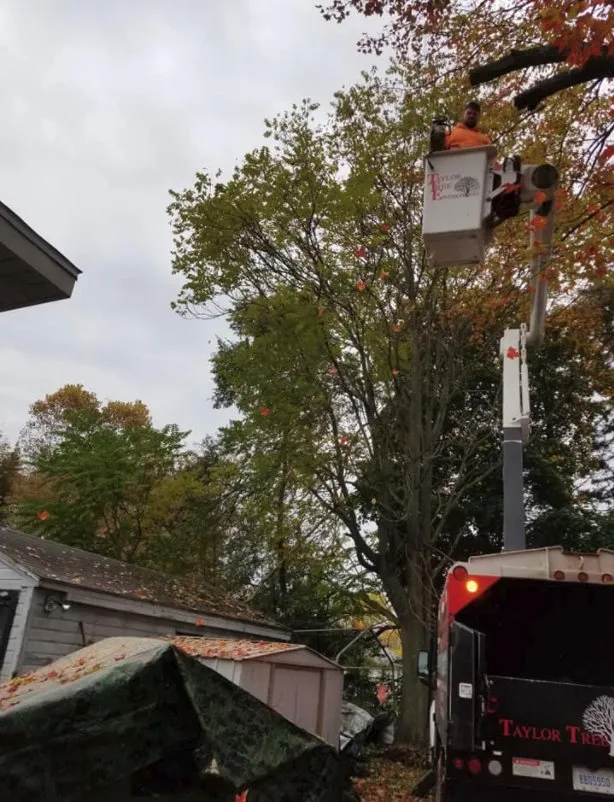 Custom residential landscaping in Michigan Center, MI by Josh Lawn & Landscape