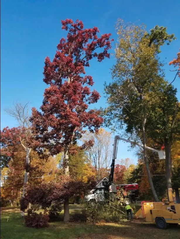 Affordable lawn care service for homes across Michigan Center, MI - Josh Lawn & Landscape