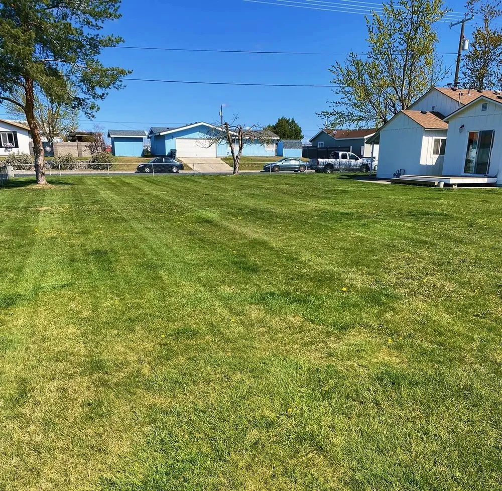 Expert lawn care service experts serving Lockhart, TX - Josh Lawn Mowing