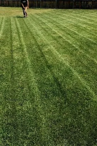 Top-rated residential landscaping in Lockhart, TX by Josh Lawn Mowing