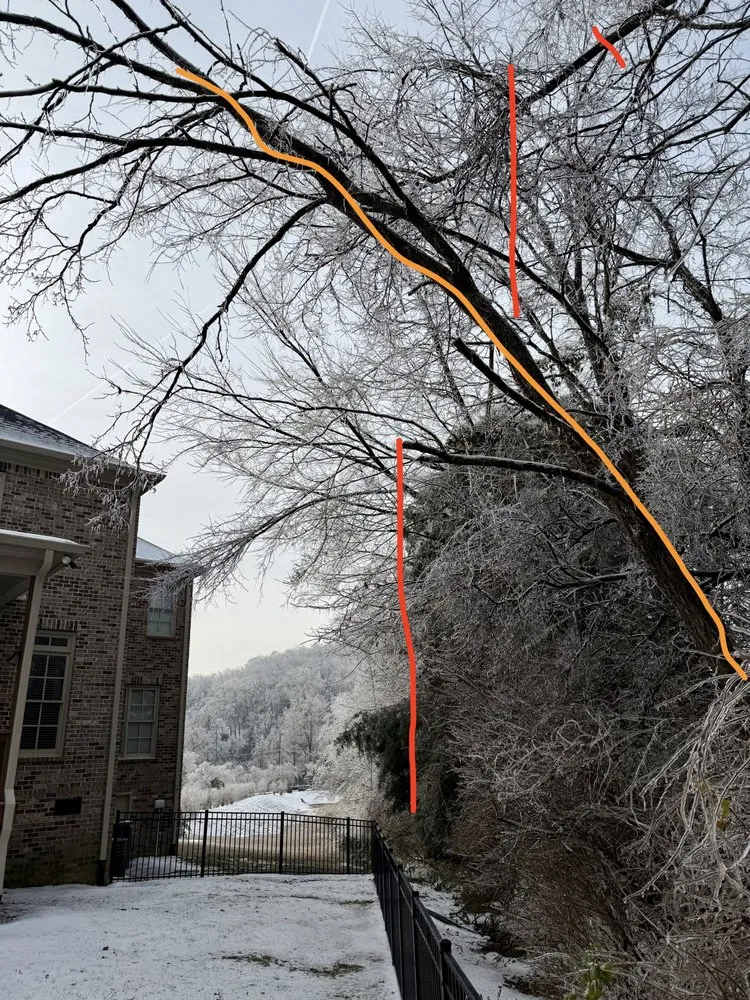 Expert landscape installation for residential properties in Franklin, TN by Josh Martin Tree Service