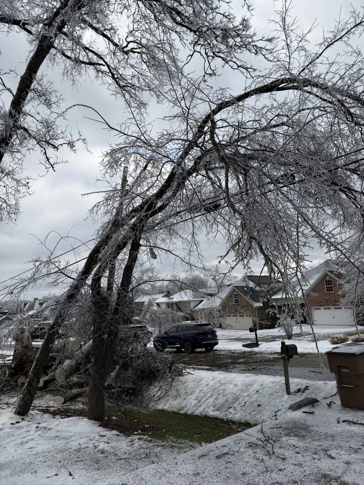 Local landscaping services experts serving Franklin, TN - Josh Martin Tree Service
