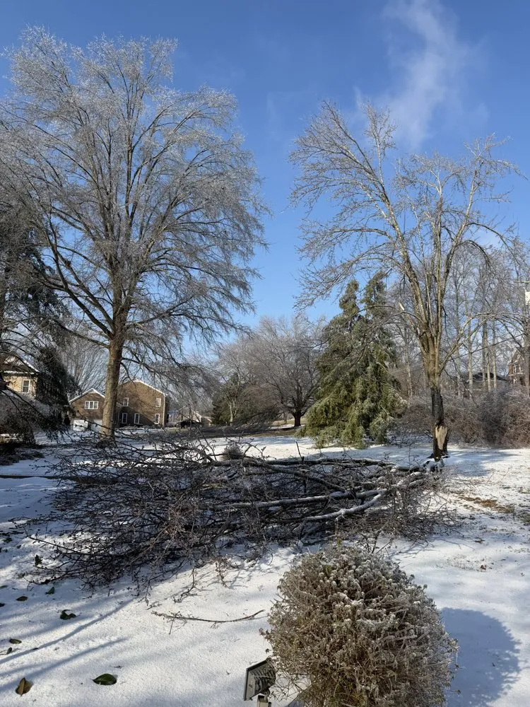 Professional lawn mowing service in Franklin, TN - Josh Martin Tree Service