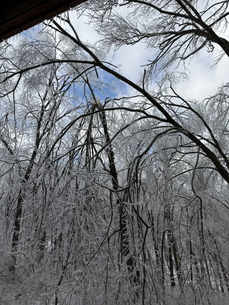 Affordable garden landscaping experts serving Franklin, TN - Josh Martin Tree Service