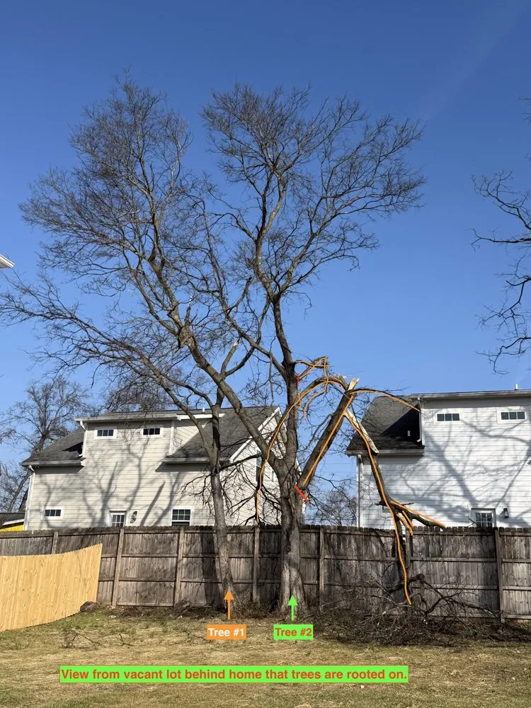 Professional outdoor landscaping with custom design across Franklin, TN - Josh Martin Tree Service