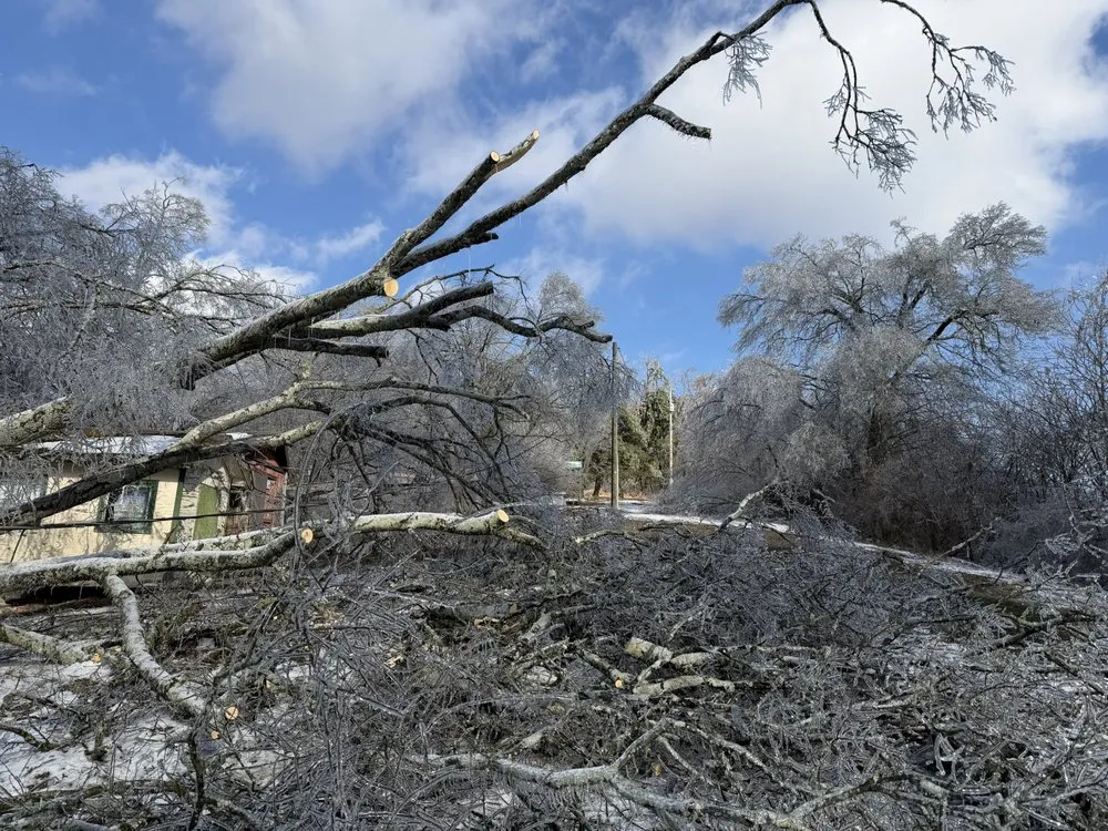Local yard maintenance in Franklin, TN by Josh Martin Tree Service