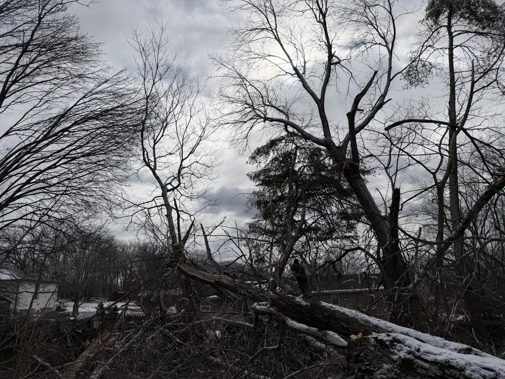 Reliable landscape installation in Franklin, TN - Josh Martin Tree Service