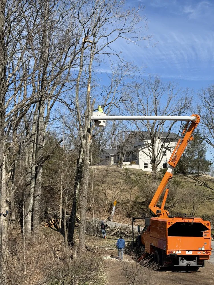 Top-rated landscaping services experts serving Franklin, TN - Josh Martin Tree Service