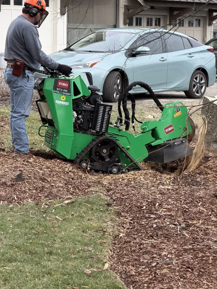Local yard cleanup service in Franklin, TN by Josh Martin Tree Service