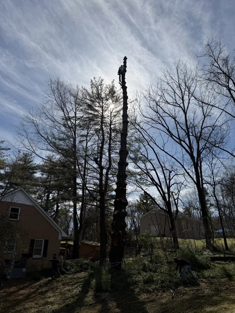 Trusted landscaping services in Franklin, TN - Josh Martin Tree Service