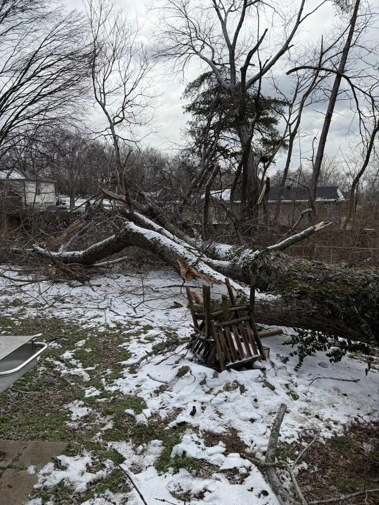 Top-rated landscaping services in Franklin, TN by Josh Martin Tree Service