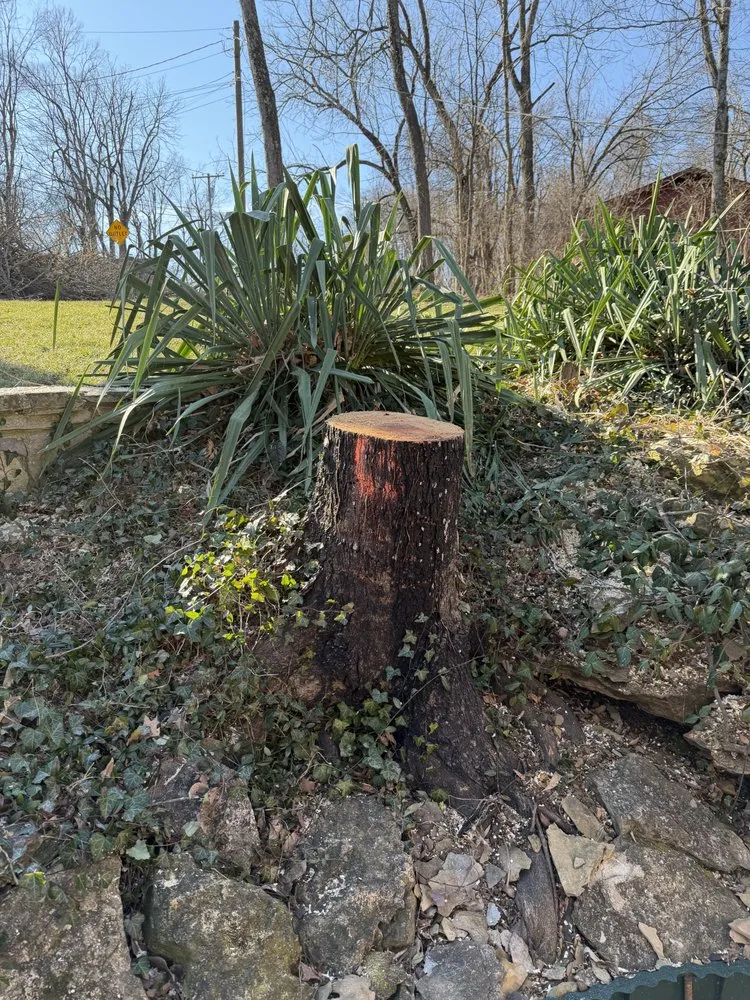 Affordable yard maintenance in Franklin, TN - Josh Martin Tree Service