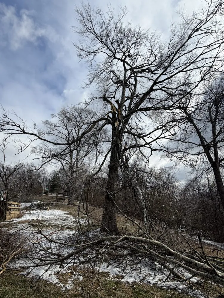 Affordable landscape design experts serving Franklin, TN - Josh Martin Tree Service
