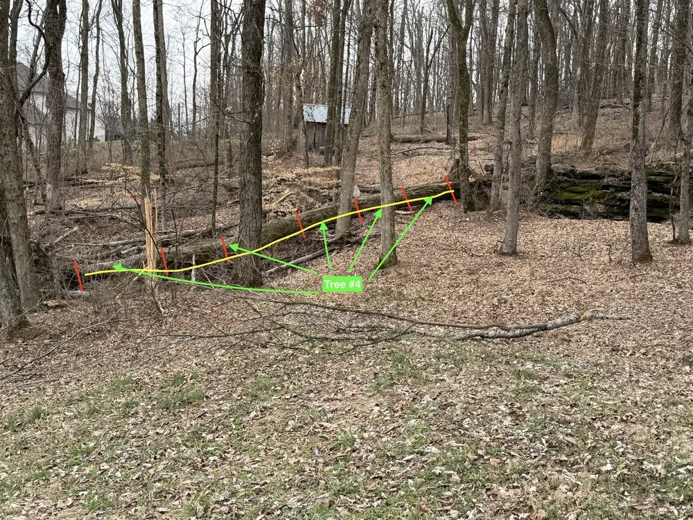 Reliable residential landscaping in Franklin, TN by Josh Martin Tree Service