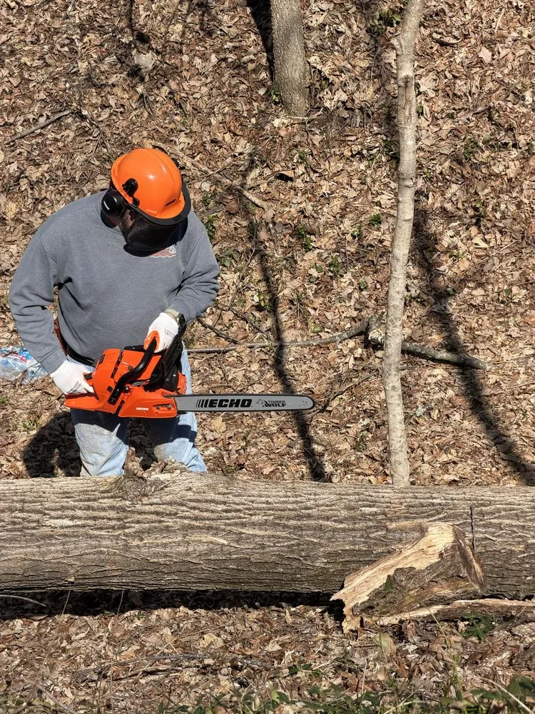 Trusted landscaping services for homes in Franklin, TN by Josh Martin Tree Service