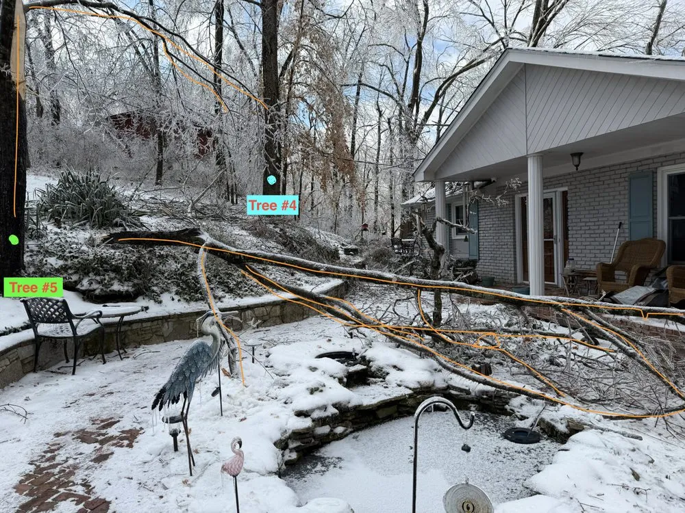 Top-rated lawn mowing service in Franklin, TN by Josh Martin Tree Service