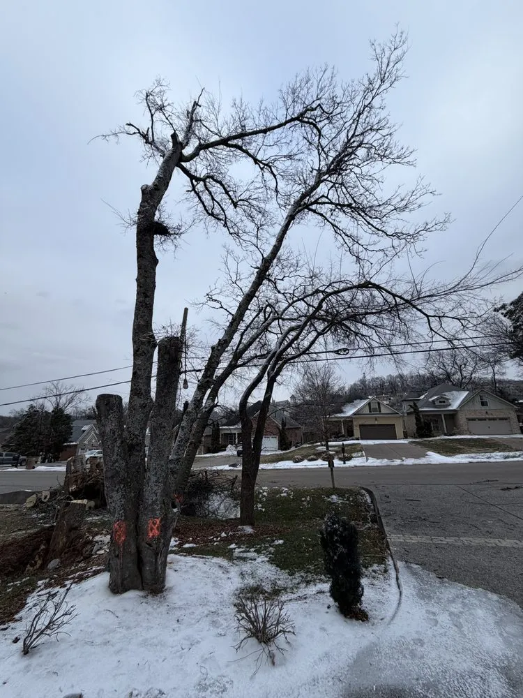 Trusted garden landscaping for outdoor upgrades across Franklin, TN - Josh Martin Tree Service
