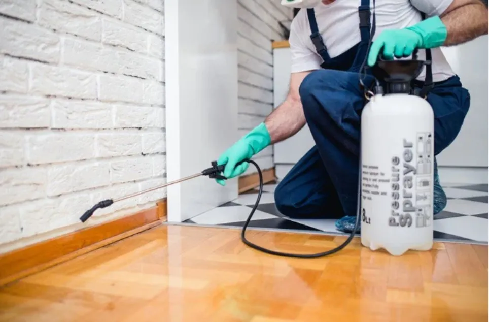 Custom residential landscaping in Garner, NC - Josh Matherly