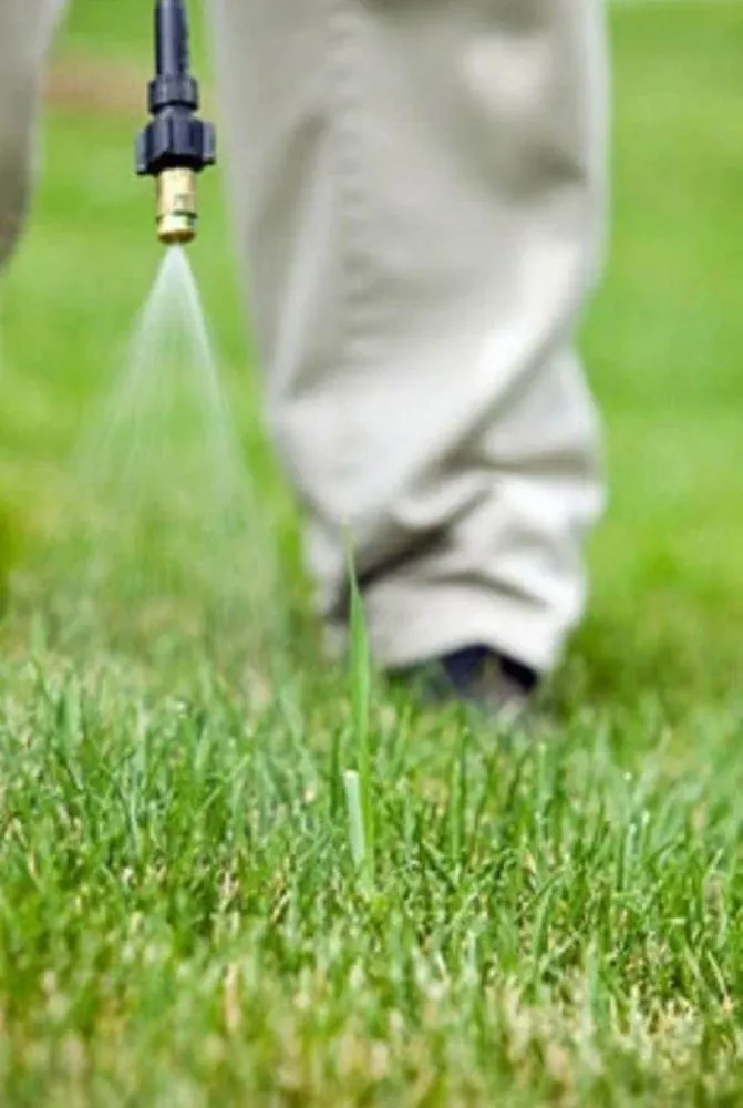 Trusted yard cleanup service for beautiful yards in Garner, NC by Josh Matherly