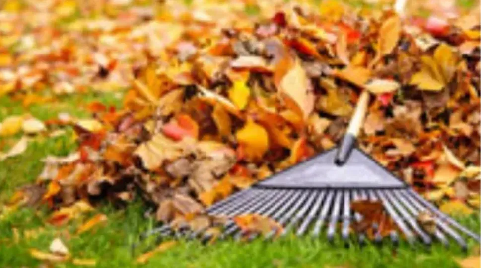 Expert outdoor landscaping for outdoor upgrades in Garner, NC by Josh Matherly