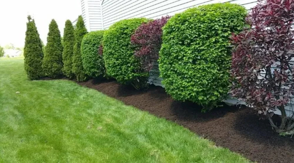 Professional lawn mowing service in Garner, NC - Josh Matherly