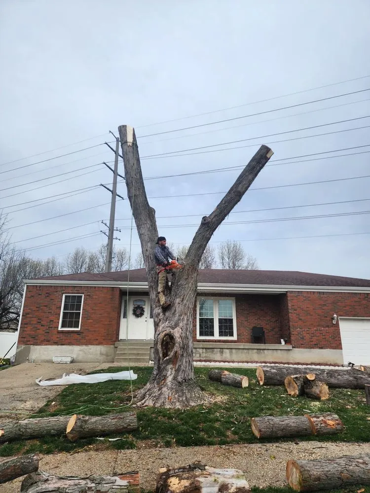 Professional outdoor landscaping for beautiful yards across Shelbyville, KY - Josh Tree and landscaping Services