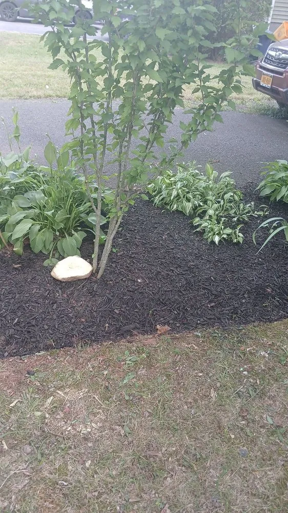 Affordable yard maintenance in Spring Valley, NY by Joshep Garden Cleaning