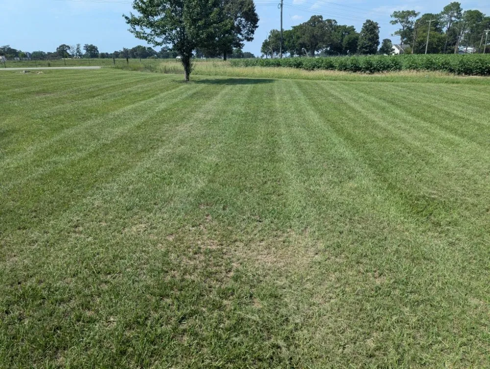 Expert yard cleanup service near you in Batesburg-Leesville, SC by Josh's Lawn & Landscape