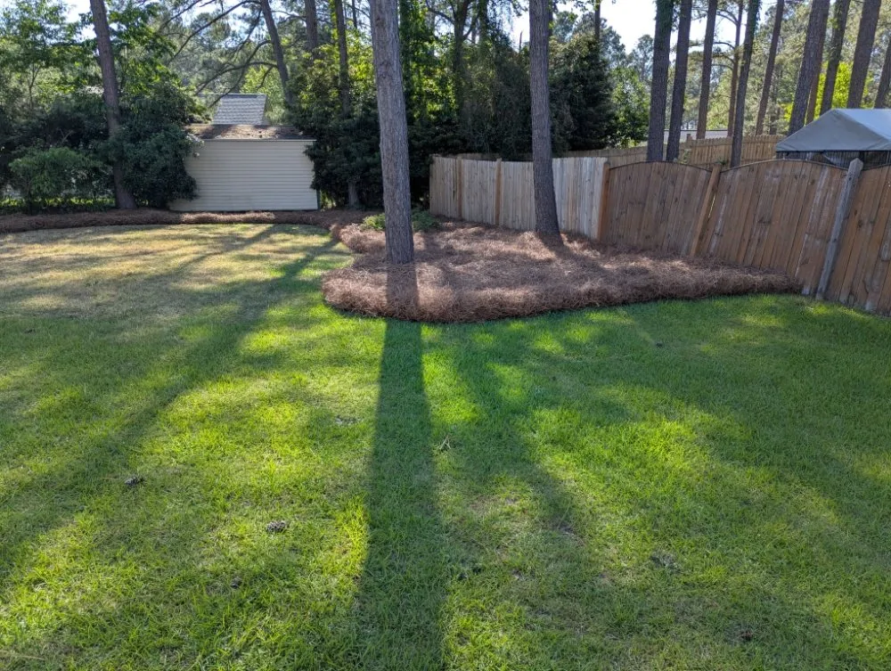Top-rated landscaping services in Batesburg-Leesville, SC by Josh's Lawn & Landscape