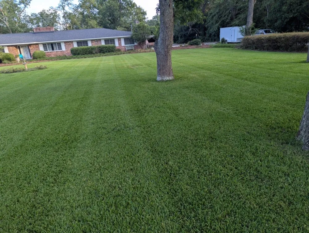 Trusted residential landscaping in Batesburg-Leesville, SC by Josh's Lawn & Landscape