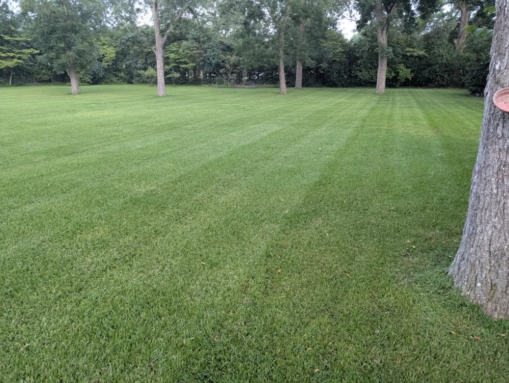 Affordable residential landscaping with custom design across Batesburg-Leesville, SC - Josh's Lawn & Landscape