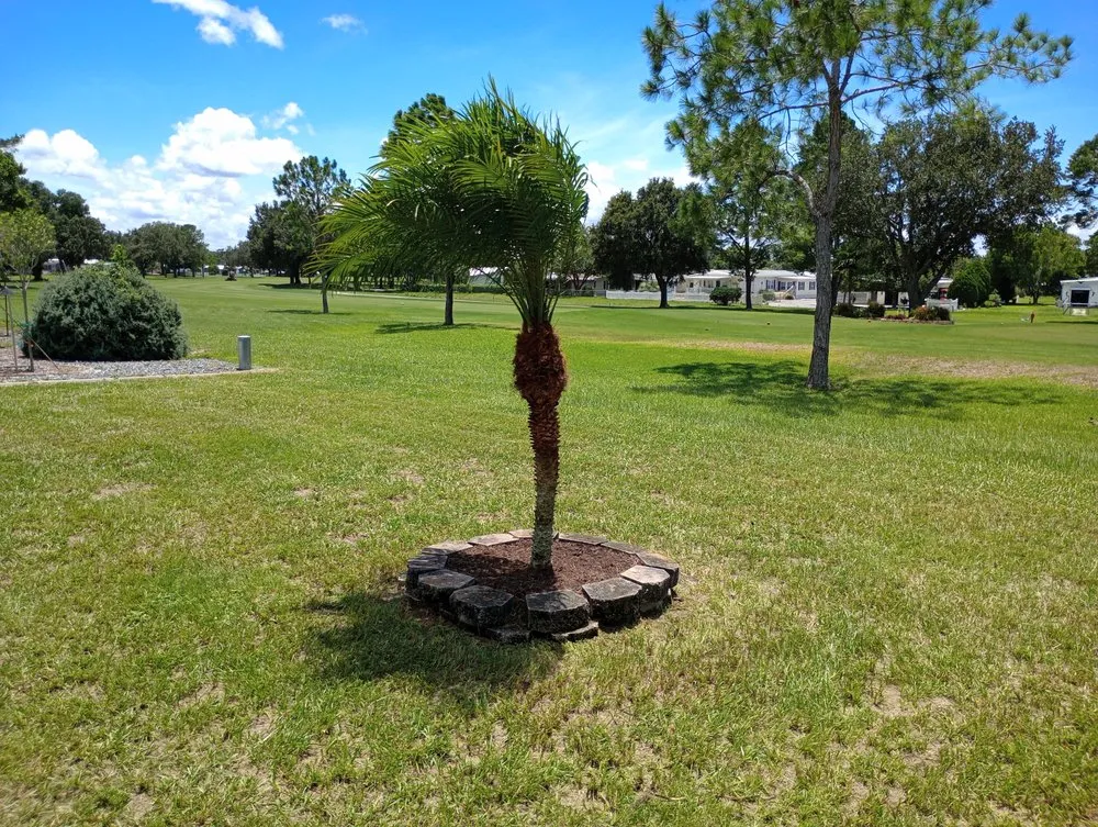 Local outdoor landscaping in Spring Hill, FL by Josh's Lawn and Landscaping