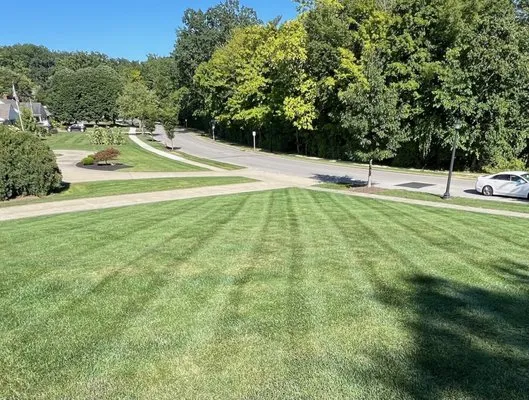 Josh's Lawn and Tree Logo