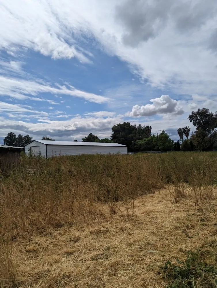 Reliable yard cleanup service for year-round maintenance in Tracy, CA by Joshs Lawn Care & General Maintenance