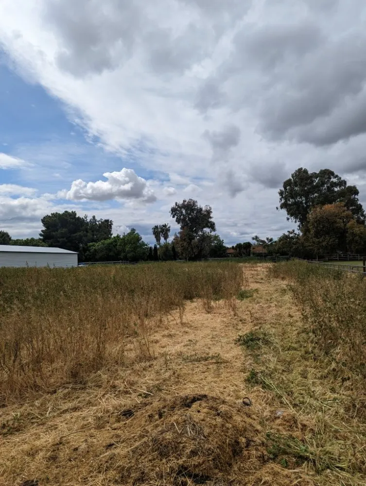 Reliable landscape installation experts serving Tracy, CA - Joshs Lawn Care & General Maintenance