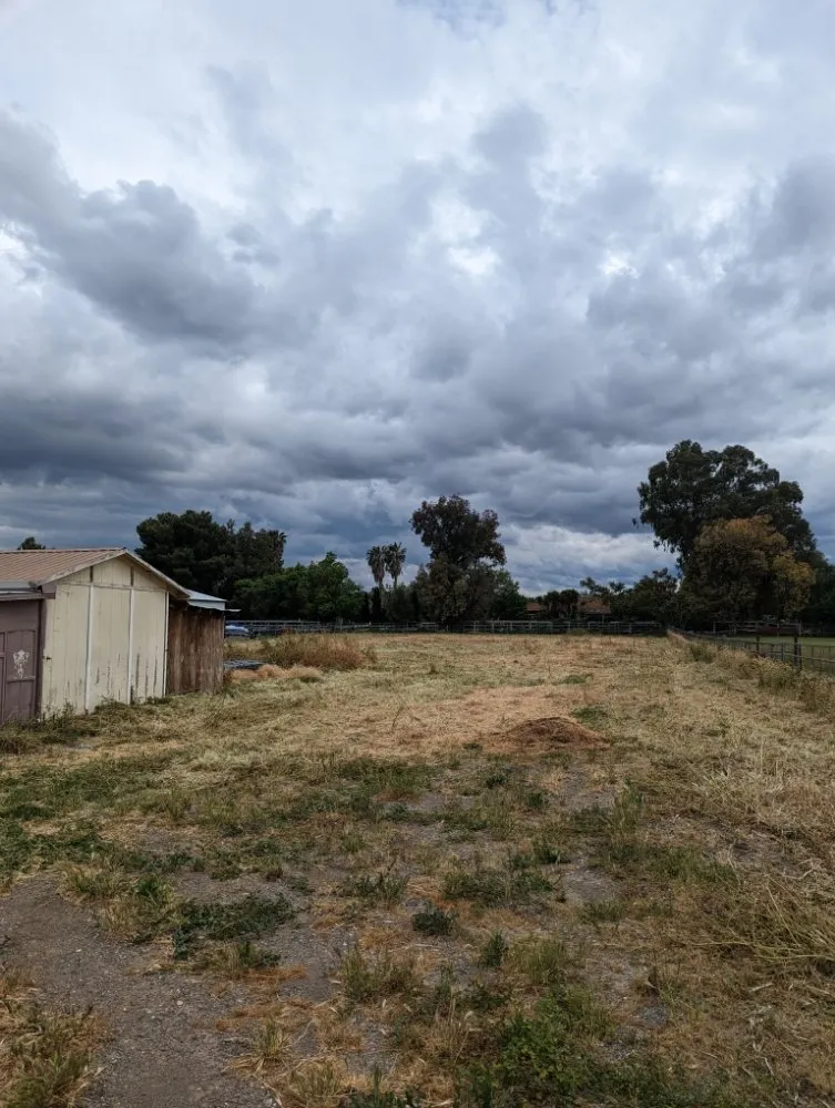 Professional lawn care service experts serving Tracy, CA - Joshs Lawn Care & General Maintenance