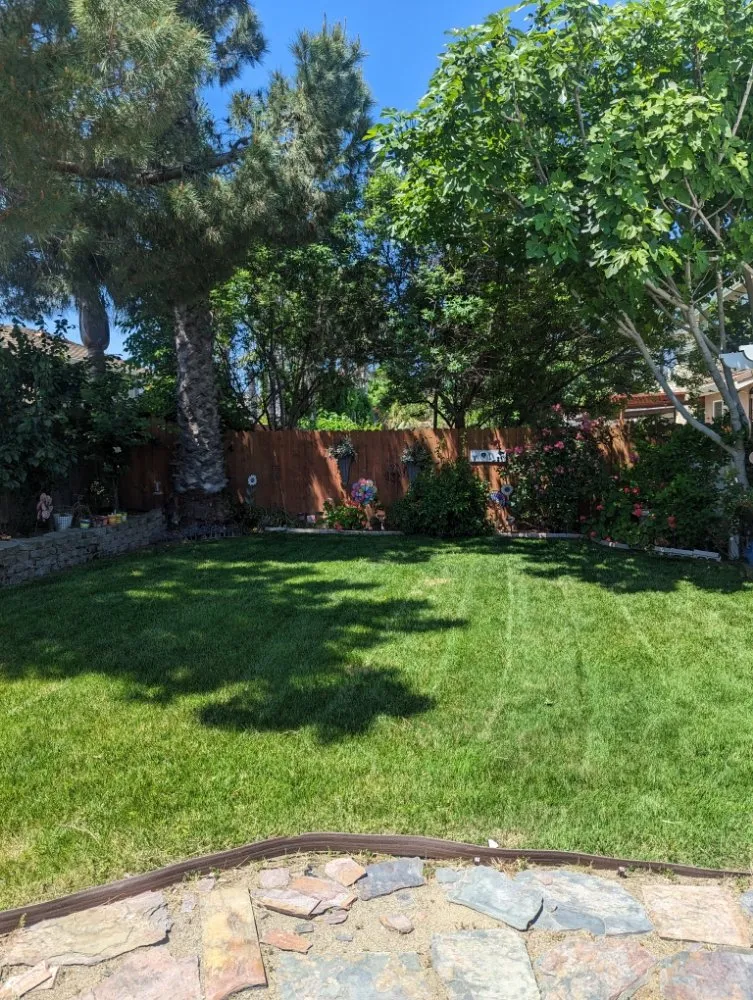 Trusted landscape design experts serving Tracy, CA - Joshs Lawn Care & General Maintenance