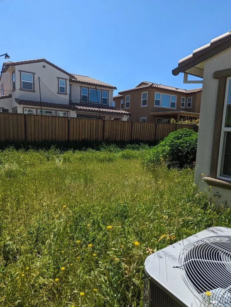 Expert yard cleanup service in Tracy, CA - Joshs Lawn Care & General Maintenance