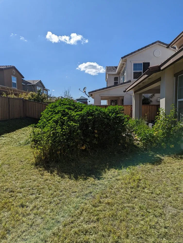 Professional outdoor landscaping experts serving Tracy, CA - Joshs Lawn Care & General Maintenance