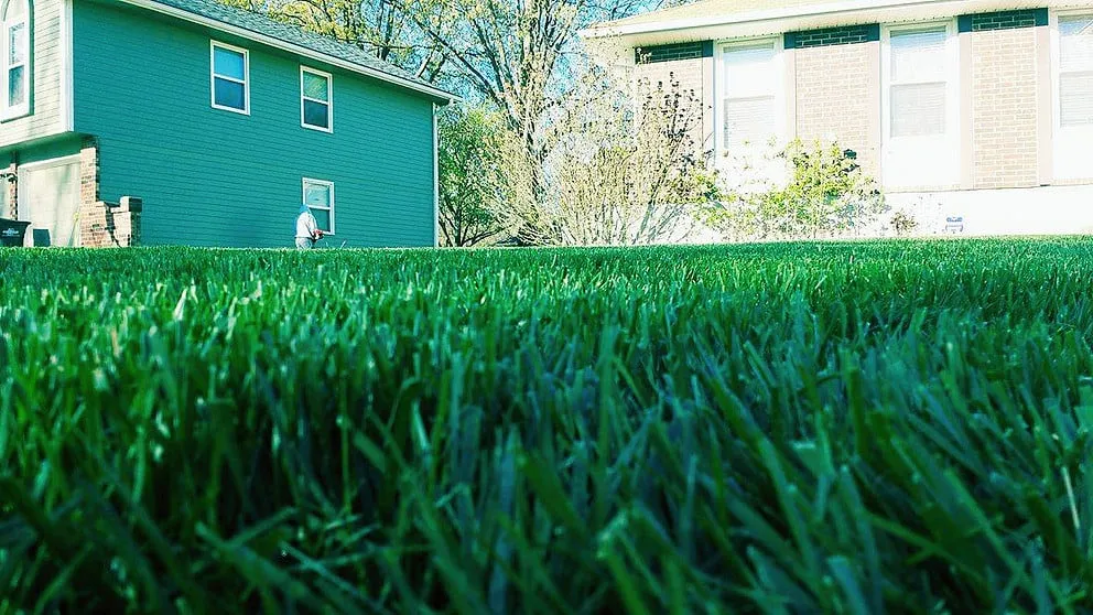 Local lawn mowing service for year-round maintenance across Shawnee, KS - Josh's Lawn Care