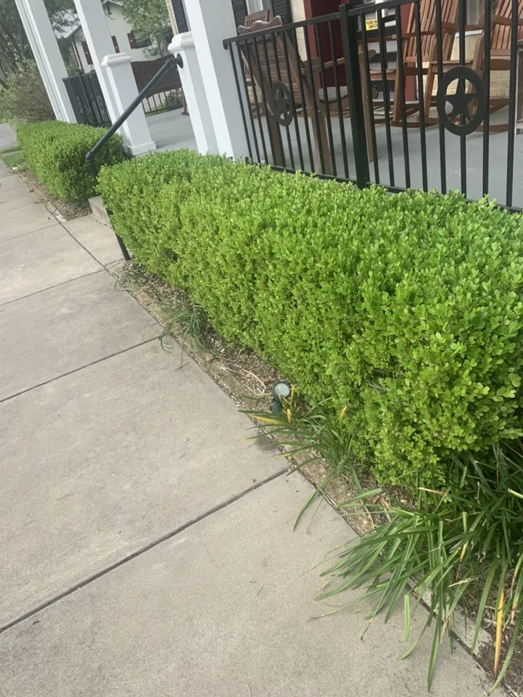 Local yard maintenance in Flatonia, TX - Josh’s Pressure washing and lawn care service