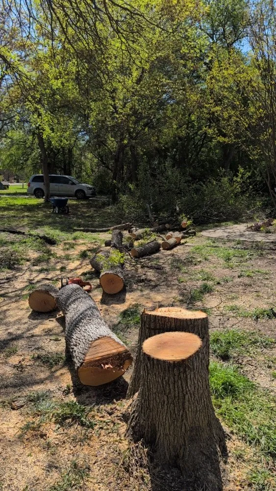 Custom yard cleanup service with custom design in Azle, TX by Josh's Tree Service and Landscaping